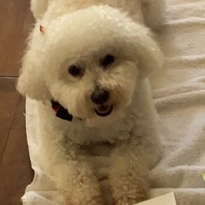 Meet your Posher, Lesley